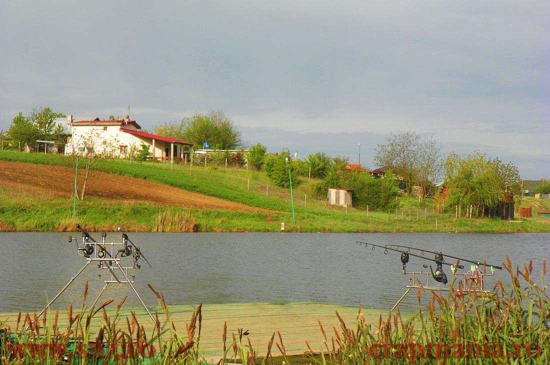 Jurnalul lui gor965: Zona tampon